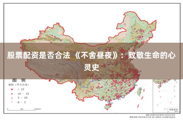 股票配资是否合法 《不舍昼夜》：致敬生命的心灵史
