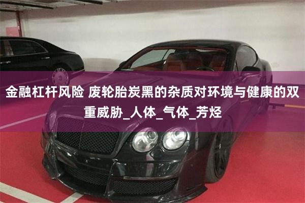 金融杠杆风险 废轮胎炭黑的杂质对环境与健康的双重威胁_人体_气体_芳烃