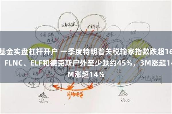 基金实盘杠杆开户 一季度特朗普关税输家指数跌超16%，FLNC、ELF和德克斯户外至少跌约45%，3M涨超14%