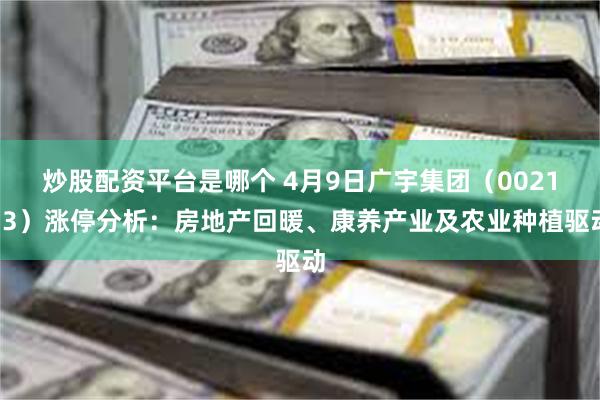 炒股配资平台是哪个 4月9日广宇集团（002133）涨停分析：房地产回暖、康养产业及农业种植驱动