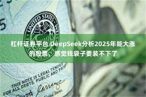 杠杆证券平台 DeepSeek分析2025年能大涨的股票，感觉钱袋子要装不下了