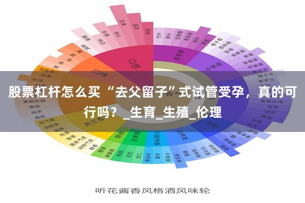 股票杠杆怎么买 “去父留子”式试管受孕，真的可行吗？_生育_生殖_伦理