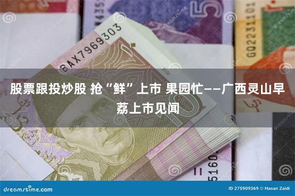 股票跟投炒股 抢“鲜”上市 果园忙——广西灵山早荔上市见闻