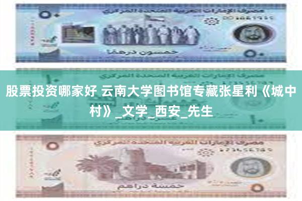 股票投资哪家好 云南大学图书馆专藏张星利《城中村》_文学_西安_先生