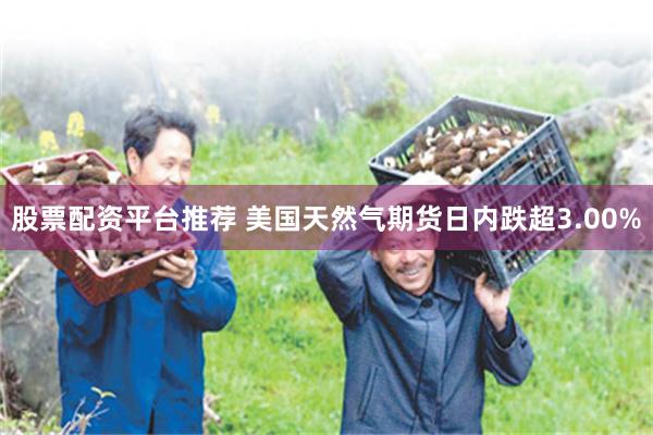 股票配资平台推荐 美国天然气期货日内跌超3.00%
