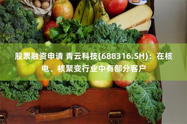 股票融资申请 青云科技(688316.SH)：在核电、核聚变行业中有部分客户