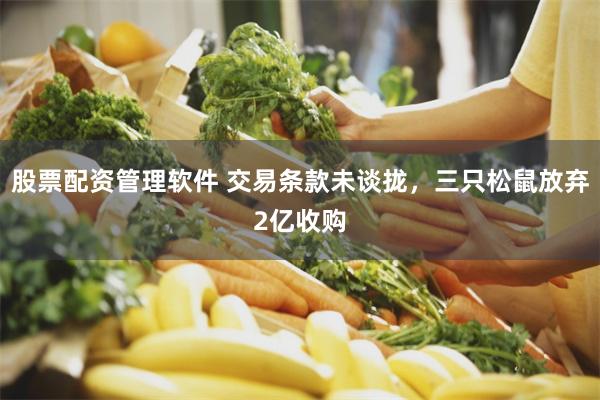 股票配资管理软件 交易条款未谈拢，三只松鼠放弃2亿收购