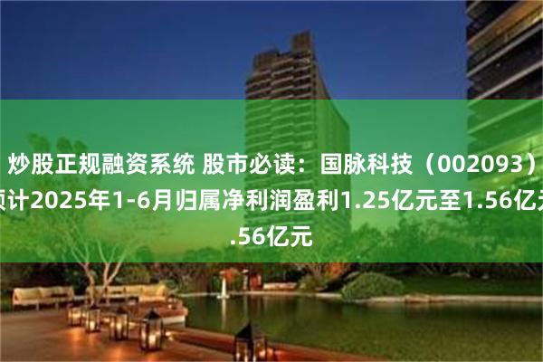 炒股正规融资系统 股市必读：国脉科技（002093）预计2025年1-6月归属净利润盈利1.25亿元至1.56亿元